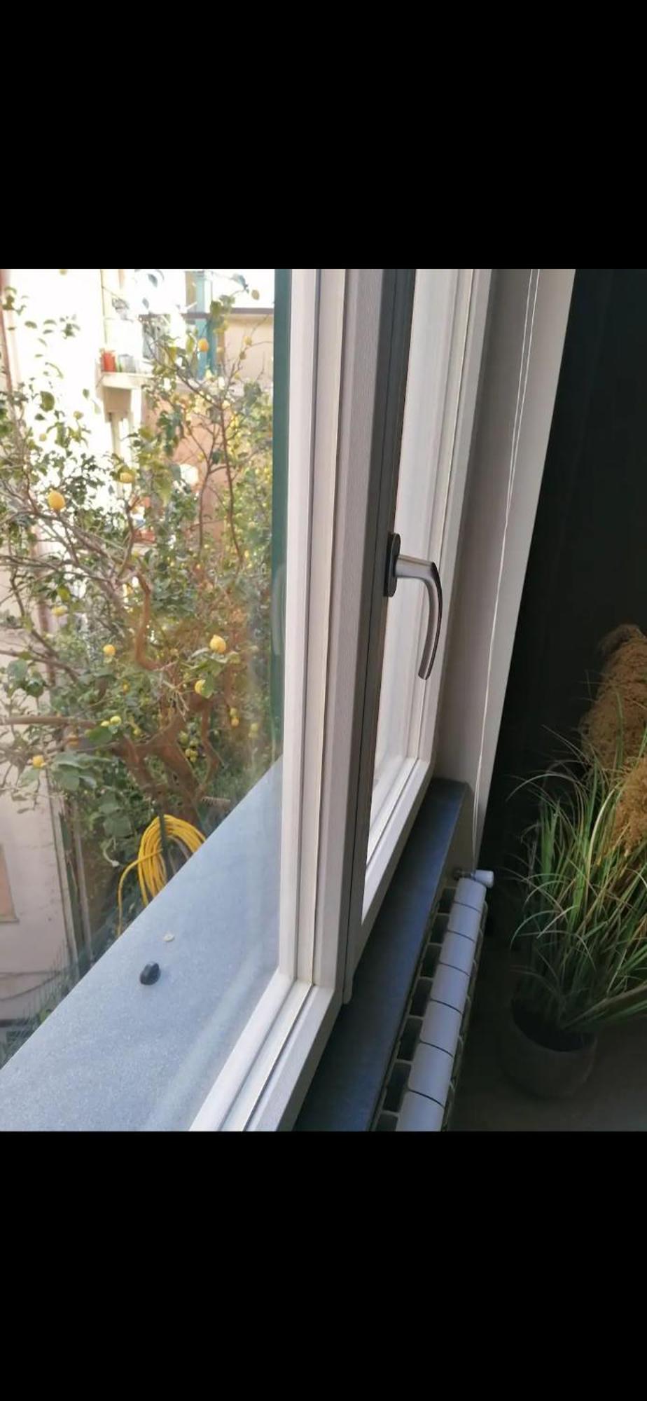 דירות מונטרוסו אל מארה Casa Edera מראה חיצוני תמונה